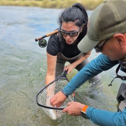 El río nos recibió con truchas residentes, no sembradas, en excelente estado, saludables y en pleno desarrollo. Si bien el tamaño promedio no es grande, la pesca es sumamente técnica y entretenida, ideal para quienes buscan desafíos más finos en ambientes naturales de montaña.