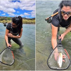 El río nos recibió con truchas residentes, no sembradas, en excelente estado, saludables y en pleno desarrollo. Si bien el tamaño promedio no es grande, la pesca es sumamente técnica y entretenida, ideal para quienes buscan desafíos más finos en ambientes naturales de montaña.