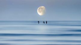 Superluna 2025: cómo influye en tus emociones, tus vínculos y tu energía (según la astrología y la psicología)