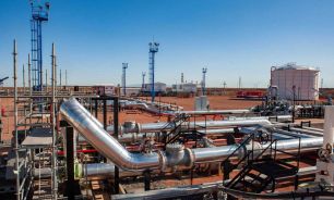 Vaca muerta 05122025