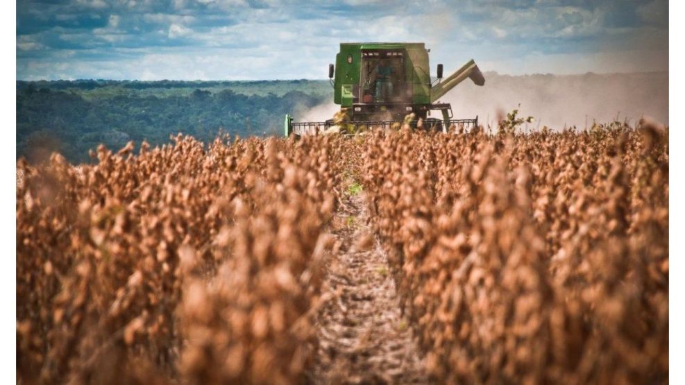 Agroindustria 2025: resiliencia, eficiencia y el ascenso de la sustentabilidad en Argentina