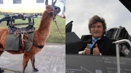 Llamas metralleta y Milei 06122025