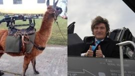 Diego Santilli celebró los F-16 con una ironía al kirchnerismo: “Pasamos de incorporar llamas metralletas a aviones de combate”