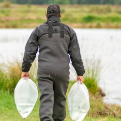 En el oeste, hubo una inyección de 100.000 ejemplares en la Laguna del Balneario Municipal de Vedia.