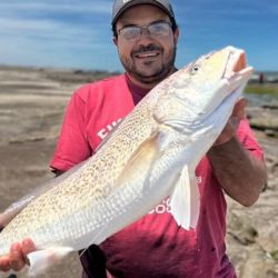 El torneo tenía el desafío principal de la corvina, aunque premiaba con gratificaciones menores a las mejores capturas de otras especies.