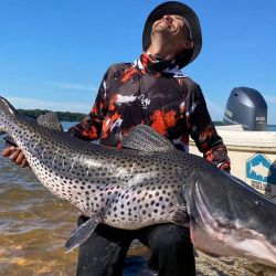 Causo sorpresa la captura de un surubí pintado de 1,67 metros, un pez con un peso estimado superior a los 50 kilos, un verdadero monumento viviente del Paraná.