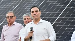 Ley de narcomenudeo corrientes