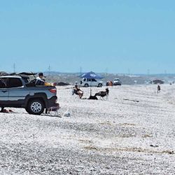 Para miles de pescadores que cada año eligen la zona, la posibilidad de pescar en distintas franjas de la costa es la esencia del viaje.