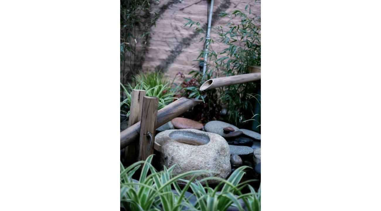 Kinzen_te : sabores de autor y arte en un refugio urbano en el barrio de Belgrano