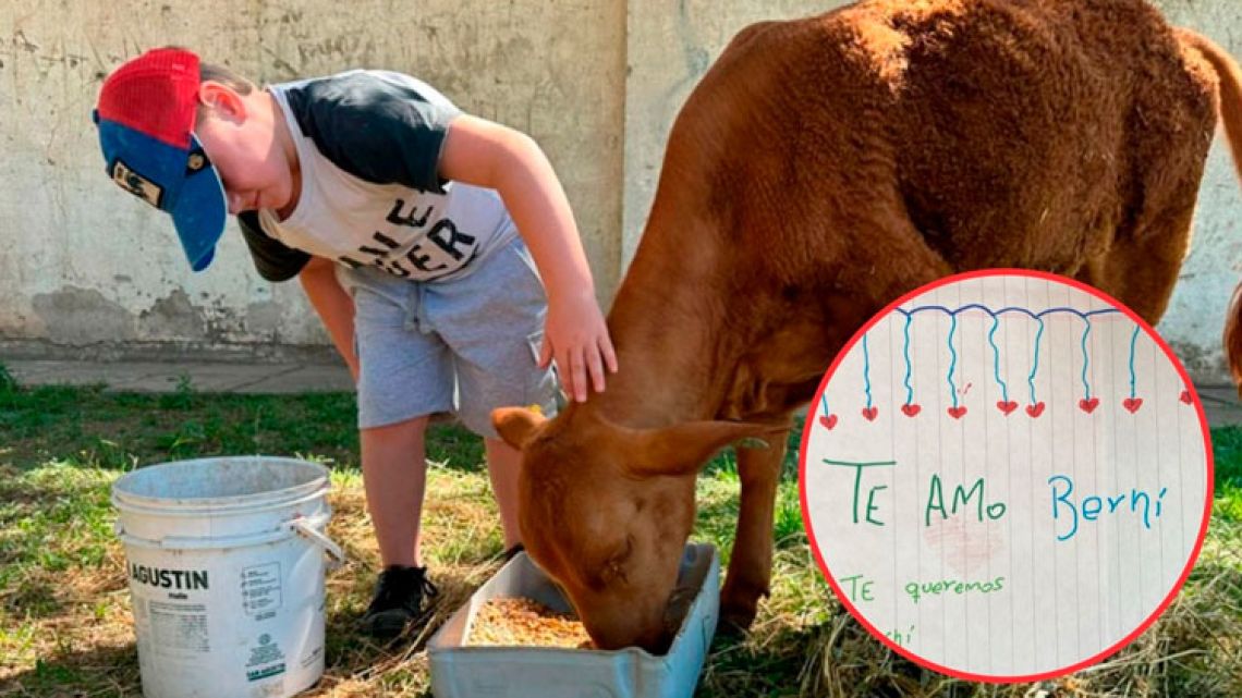 "¿En qué pueblo estamos?": el desgarrador pedido de justicia de los niños tras el asesinato de Berni, el ternero mascota