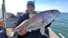 Dorados, bogas y corvinas, tres grandes atracciones para los pescadores