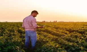 Productor agropecuario