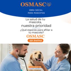 OSMASC: la obra social para mascotas que marca la diferencia en salud, confianza y bienestar animal | Foto:CONTENT NOTICIAS