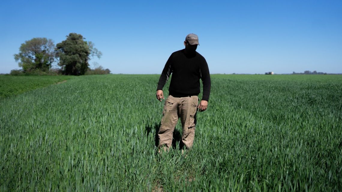 A farmer in a wheat field near Rosario, Argentina