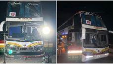 Micros de Estudiantes de La Plata