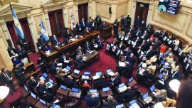 Universidades y discapacidad: golpeado, el Gobierno debate en comisión el Presupuesto 2026 en el Senado