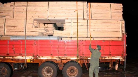 Dictan preventiva para un camionero que llevaba 3.500 kilos de marihuana Dictan preventiva para un camionero que llevaba 3.500 kilos de marihuana
