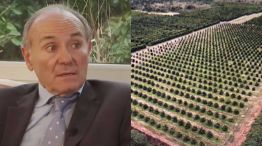 Caso José Carbonell 20251215