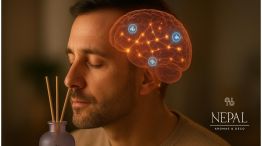 Tu espacio, tu refugio sensorial con alma: cuando decoración y ciencia se unen