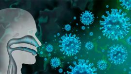 La gripe H3N2 variante K ya está en Perú y crece el alerta por su posible llegada a la Argentina