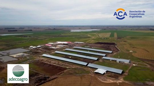 Adecoagro y la Asociación de Cooperativas Argentinas compraron Profertil por US$ 1.200 millones Adecoagro y la Asociación de Cooperativas Argentinas compraron Profertil por US$ 1.200 millones