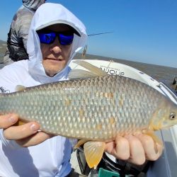 La carnada que marcó la diferencia fue el maíz, que se impuso claramente y permitió sostener un ritmo de pesca constante durante buena parte de la creciente. 
