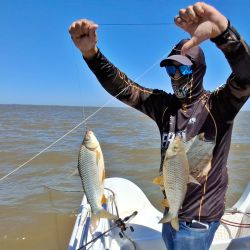 La carnada que marcó la diferencia fue el maíz, que se impuso claramente y permitió sostener un ritmo de pesca constante durante buena parte de la creciente. 