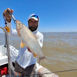 La carnada que marcó la diferencia fue el maíz, que se impuso claramente y permitió sostener un ritmo de pesca constante durante buena parte de la creciente. 