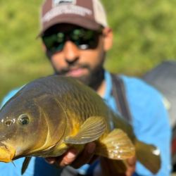 En esta región, las carpas se alimentan principalmente de puyén, por lo que la elección de la mosca es determinante. 