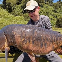 En esta región, las carpas se alimentan principalmente de puyén, por lo que la elección de la mosca es determinante. 
