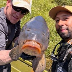 En esta región, las carpas se alimentan principalmente de puyén, por lo que la elección de la mosca es determinante. 