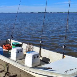 Mar Chiquita vuelve a demostrar que es un ámbito impredecible y fascinante. A la lisa se le suman pejerreyes muy activos en la albufera y, para los que se animan a la costa, la posibilidad de completar un verdadero Grand Slam con corvinas negras, lenguados y hasta tiburones. 