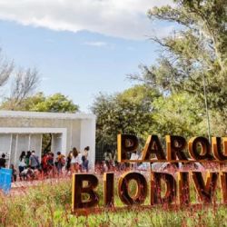 Se trata de cuatro proyectos por demás valiosos.