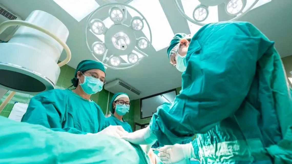 Avances en trasplantes: la donación de órganos transforma vidas y ciencia.