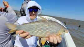 Festival de bogas en los malecones de Berisso