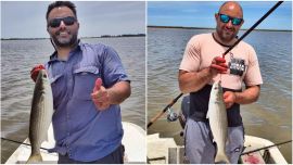 Mar Chiquita vuelve a demostrar que es un ámbito impredecible y fascinante. A la lisa se le suman pejerreyes muy activos en la albufera y, para los que se animan a la costa, la posibilidad de completar un verdadero Grand Slam con corvinas negras, lenguados y hasta tiburones.