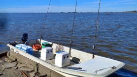 Buenos Aires coronó a sus nuevos campeones de pesca