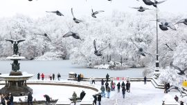 Cayó la primera gran nevada de la temporada en Nueva York y se convirtió en un paraíso invernal