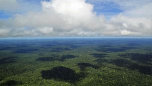 La Amazonia podría perder hasta el 38% de su cubierta forestal para fines de siglo. 16122025