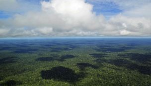 La Amazonia podría perder hasta el 38% de su cubierta forestal para fines de siglo. 16122025