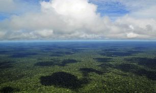 La Amazonia podría perder hasta el 38% de su cubierta forestal para fines de siglo. 16122025