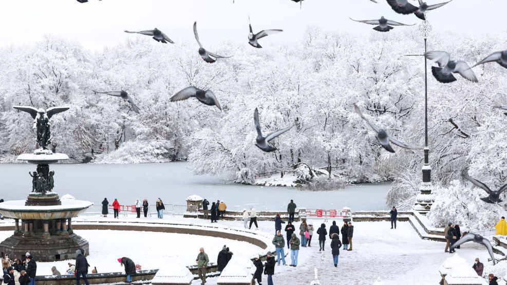 Cayó la primera gran nevada de la temporada en Nueva York 16122025