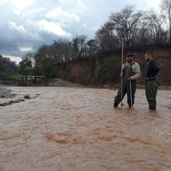 La cuenca alta del Río Bermejo es considerada un verdadero “punto caliente” de biodiversidad. Allí se mezclan especies de origen andino, amazónico y paranaense, lo que convierte a la región en un puente biológico natural entre grandes sistemas fluviales sudamericanos. 