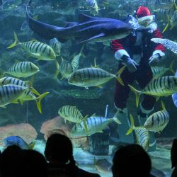 El buceador Faiz Mahamud, vestido de Papá Noel, alimenta a los peces en un acuario del Acuario KLCC de Kuala Lumpur. | Foto:Mohd Rasfan / AFP
