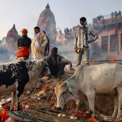 Familiares de los fallecidos se reúnen para los ritos funerarios a orillas del río Ganges en Manikarnika Ghat, Varanasi, India. | Foto:NIHARIKA KULKARNI / AFP