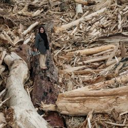 Nurlela Agusfitri, de 40 años, quien perdió su plantación de palma, varias vacas y un pequeño quiosco en su casa durante una inundación repentina unas tres semanas antes, posa sobre árboles arrancados de raíz camino al sitio de su antigua casa en Pengidam, Aceh Tamiang, norte de Sumatra. | Foto:Yasuyoshi Chiba / AFP