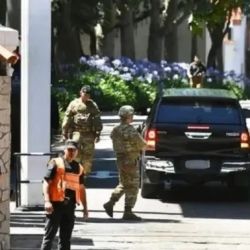 Quinta de Olivos | Foto:CEDOC