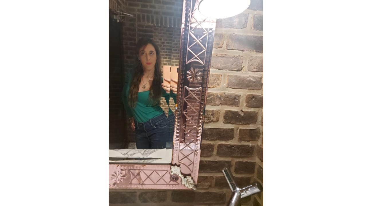 La revolución de la Reprogramación Amorosa: cómo transformar patrones mentales y emocionales para atraer un amor sano