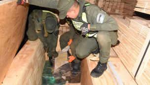 marihuana en corrientes