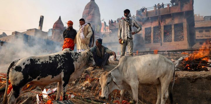 Familiares de los fallecidos se reúnen para los ritos funerarios a orillas del río Ganges en Manikarnika Ghat, Varanasi, India.
